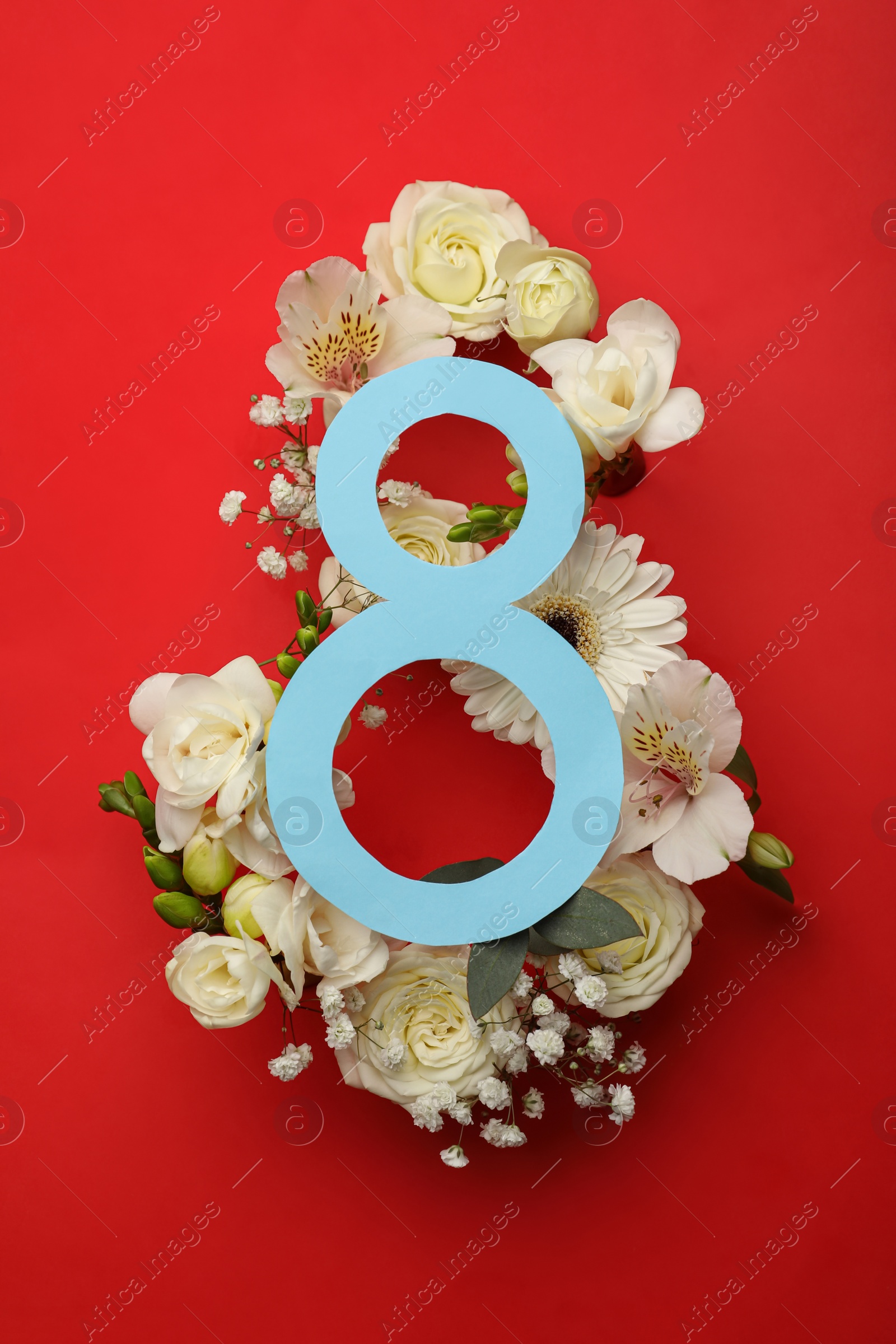 Photo of 8 March greeting card design with beautiful white flowers on red background, flat lay. International Women's day