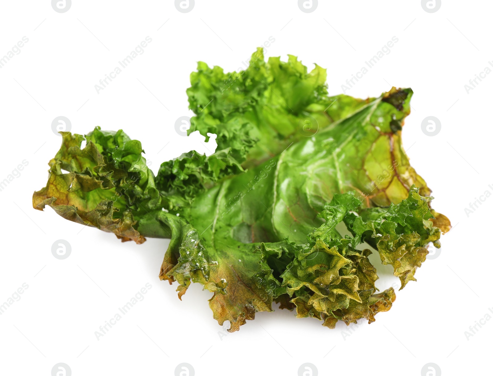 Photo of Tasty baked kale chip isolated on white