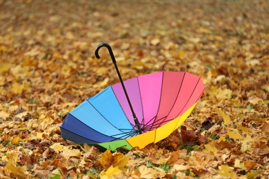 Open rainbow umbrella on fallen leaves in autumn park