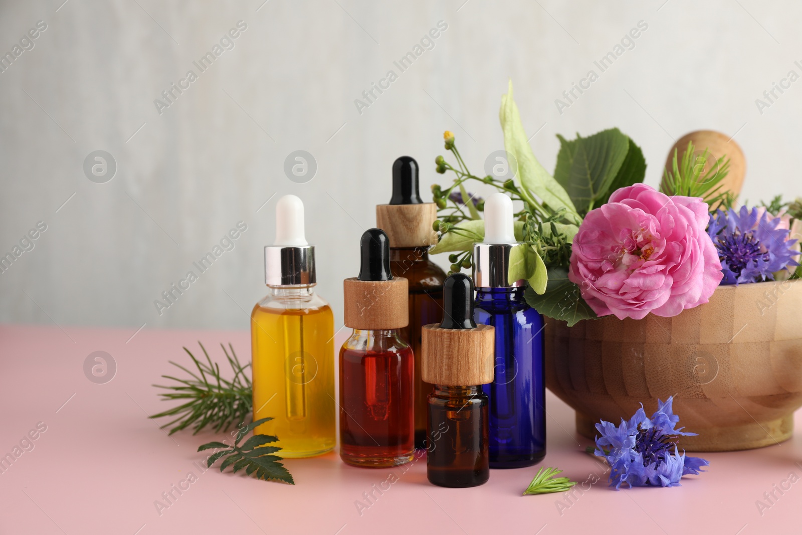 Photo of Aromatherapy. Different essential oils and flowers on pink table. Space for text