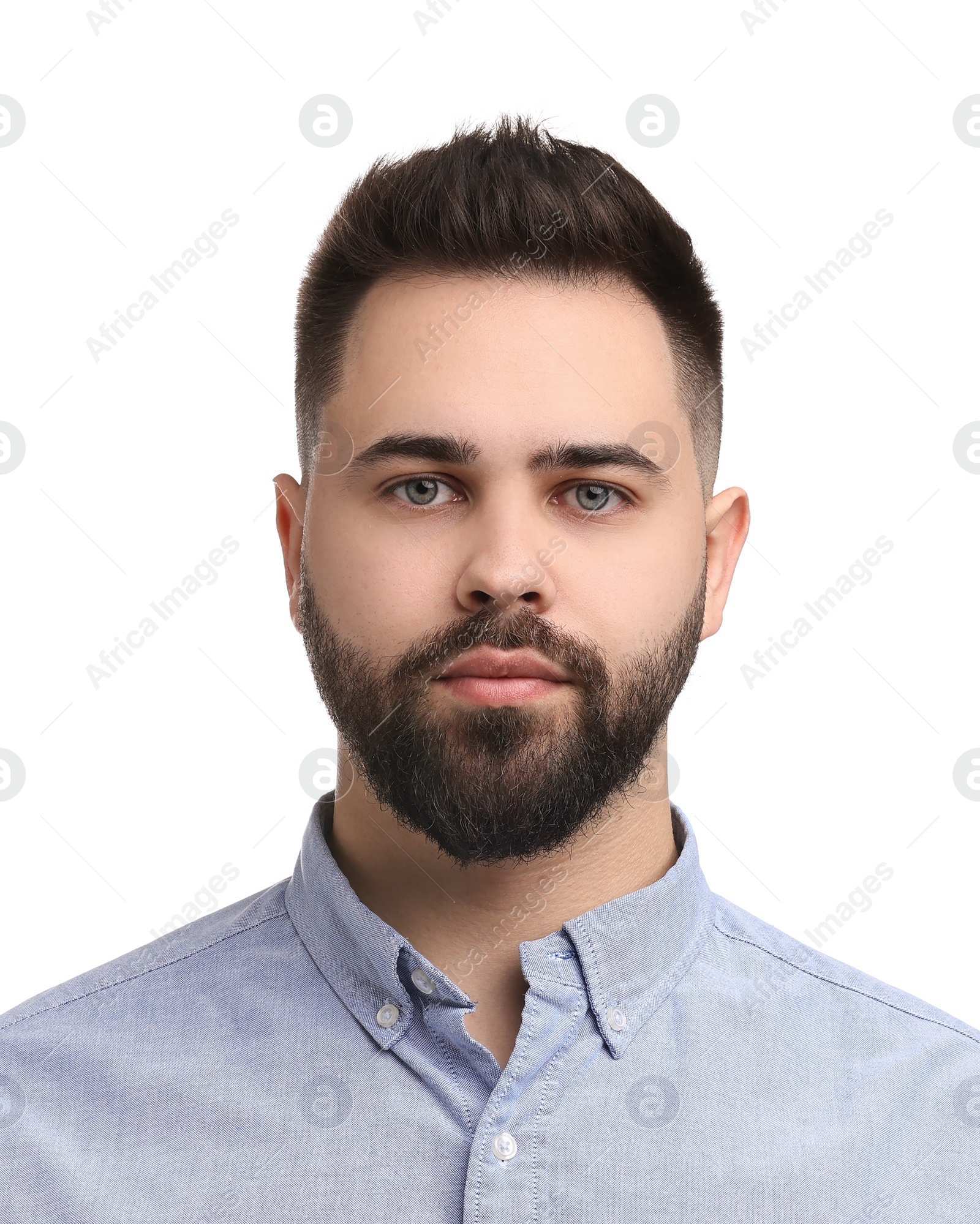 Image of Passport photo. Portrait of young man on white background