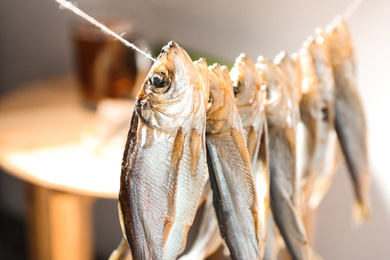 Dried fish hanging on rope, closeup view