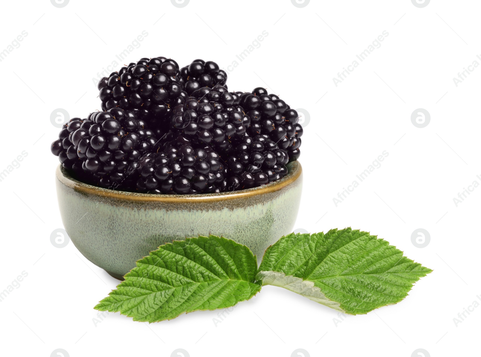 Photo of Bowl of ripe blackberries and green leaves isolated on white