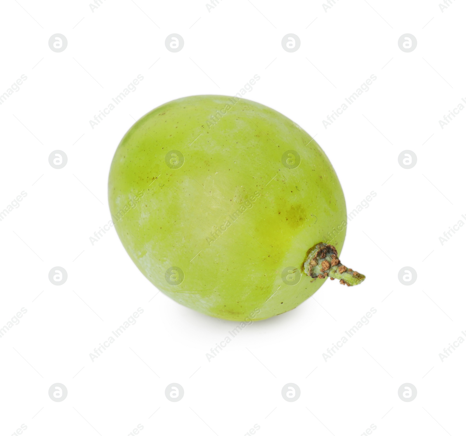 Photo of One ripe green grape isolated on white