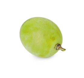 One ripe green grape isolated on white