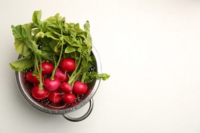 Photo of Wet radish in colander on white table, top view. Space for text