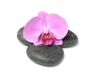 Photo of Spa stones with orchid flower on white background