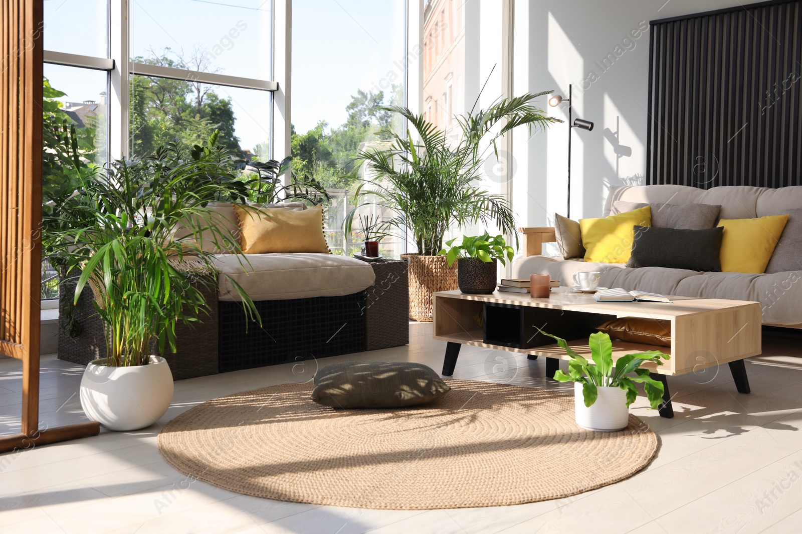 Photo of Indoor terrace interior with modern furniture and houseplants