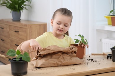 Photo of Cute little girl planting seedling into pot at wooden table indoors