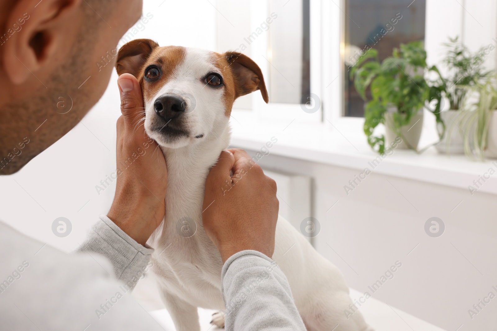 Photo of Young man with Jack Russell Terrier at home office, closeup. Space for text