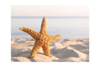 Image of Paper photo. Beautiful starfish near on sandy beach 