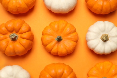 Different ripe pumpkins on orange background, flat lay