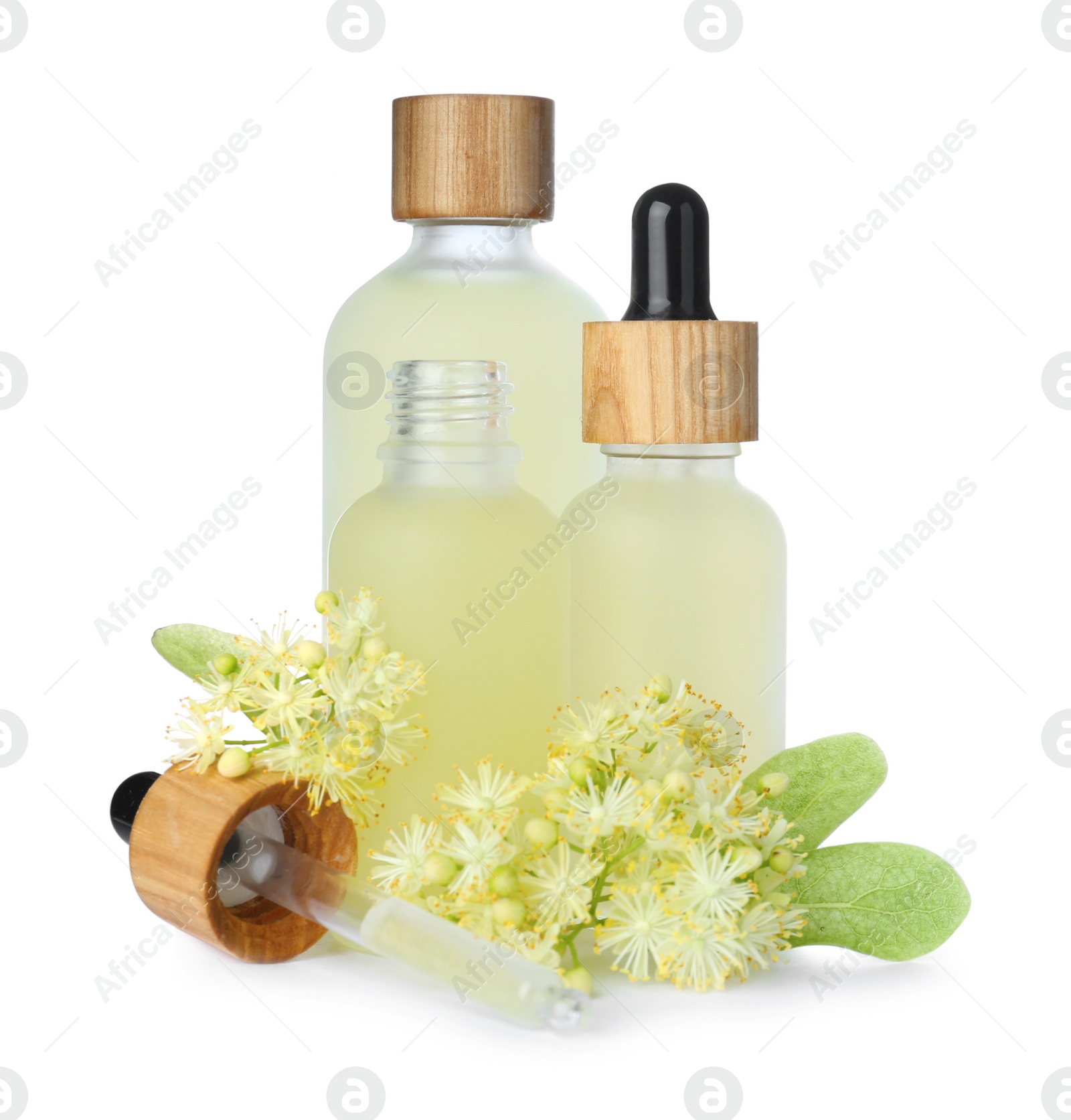 Photo of Bottles of essential oil and linden flowers on white background