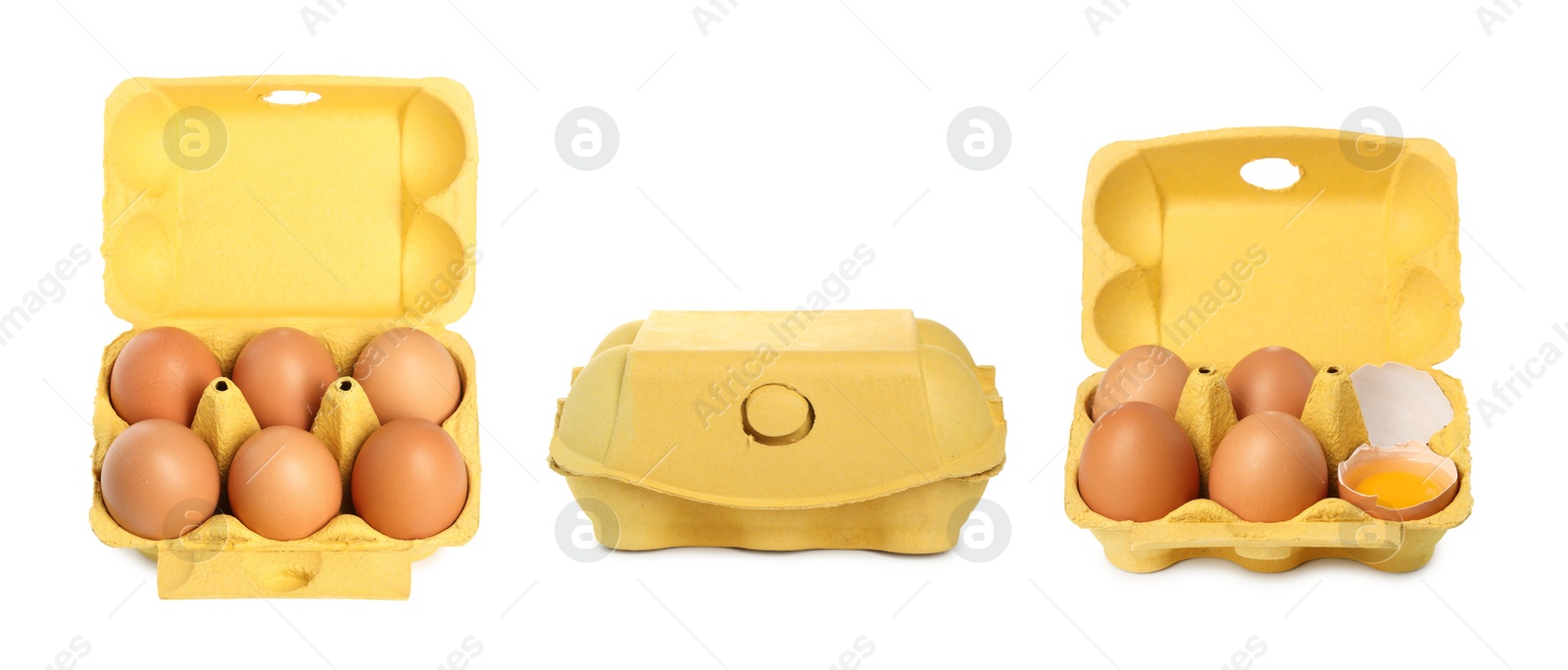 Image of Brown chicken eggs in egg cartons isolated on white, set