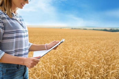 Photo of Young agronomist with clipboard in grain field. Cereal farming