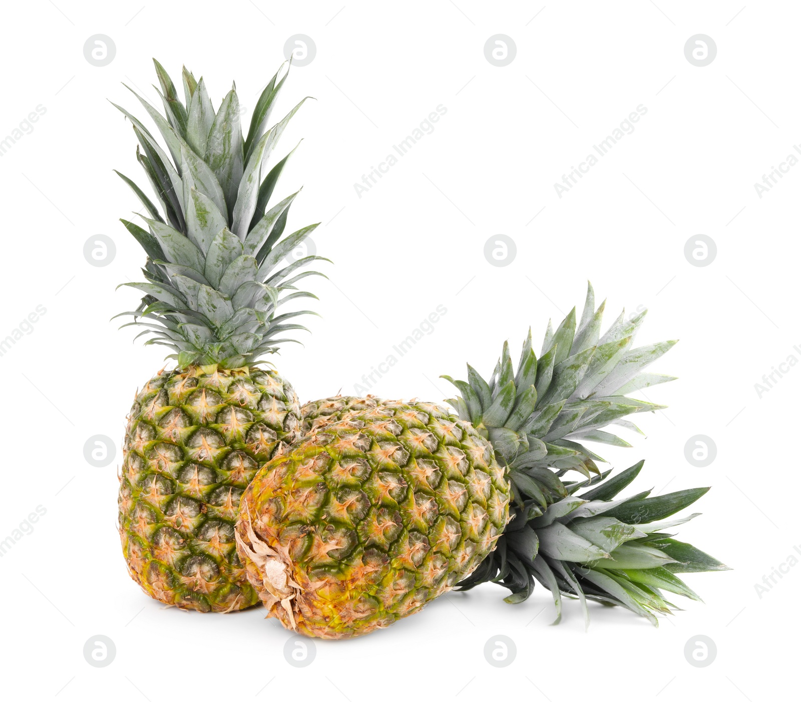 Photo of Two delicious ripe pineapples isolated on white