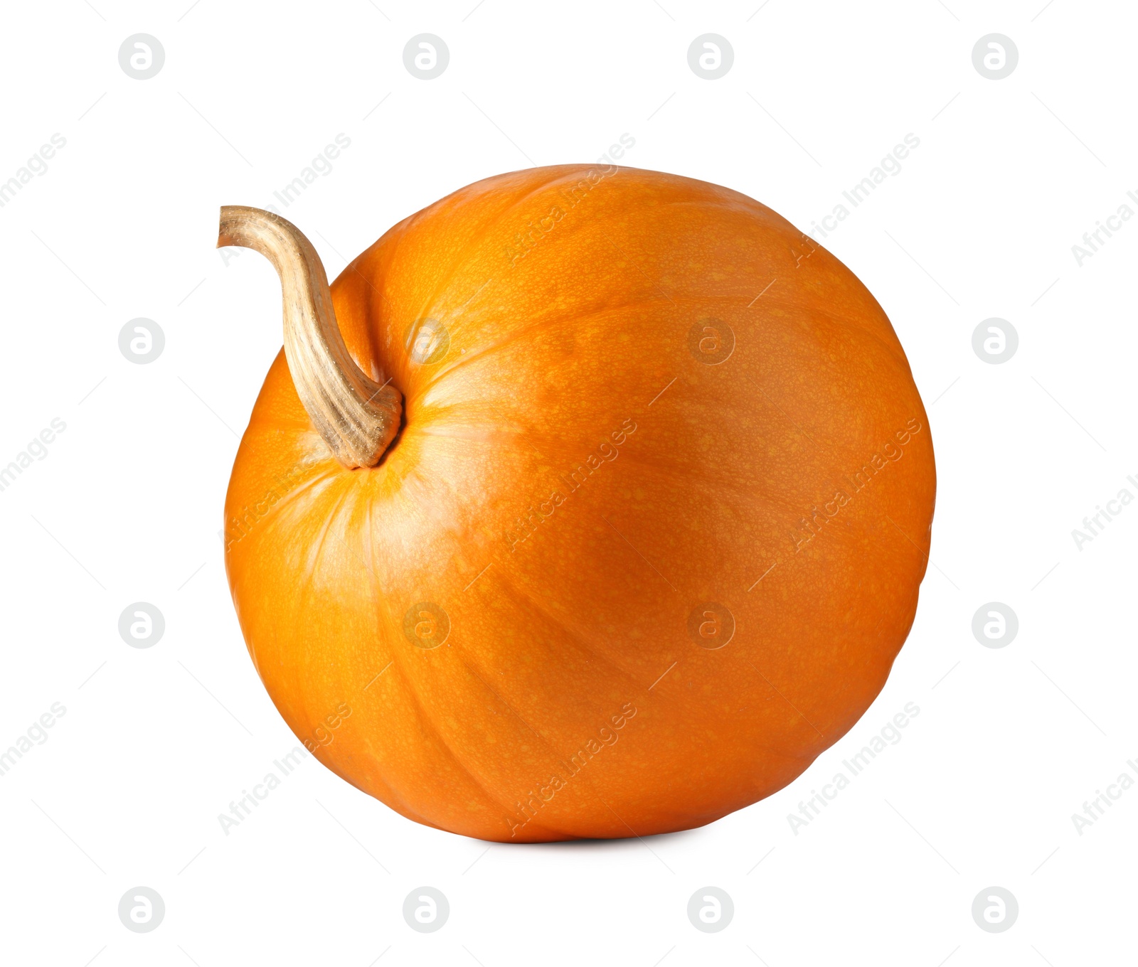 Photo of One fresh orange pumpkin isolated on white