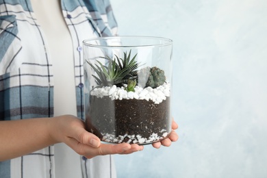 Photo of Woman holding florarium with different succulents on color background, closeup. Space for text