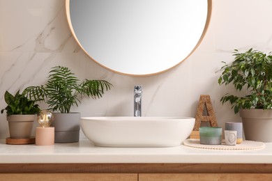 Photo of Vessel sink and different houseplants on countertop in bathroom