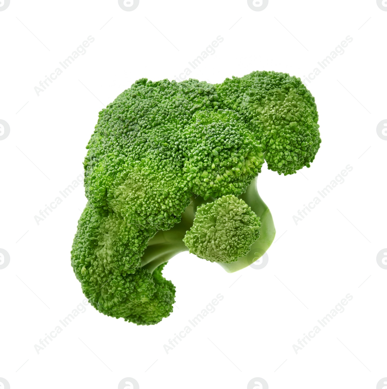 Photo of Fresh raw green broccoli isolated on white