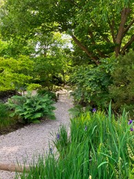 Photo of View of pathway going through park with beautiful green plants