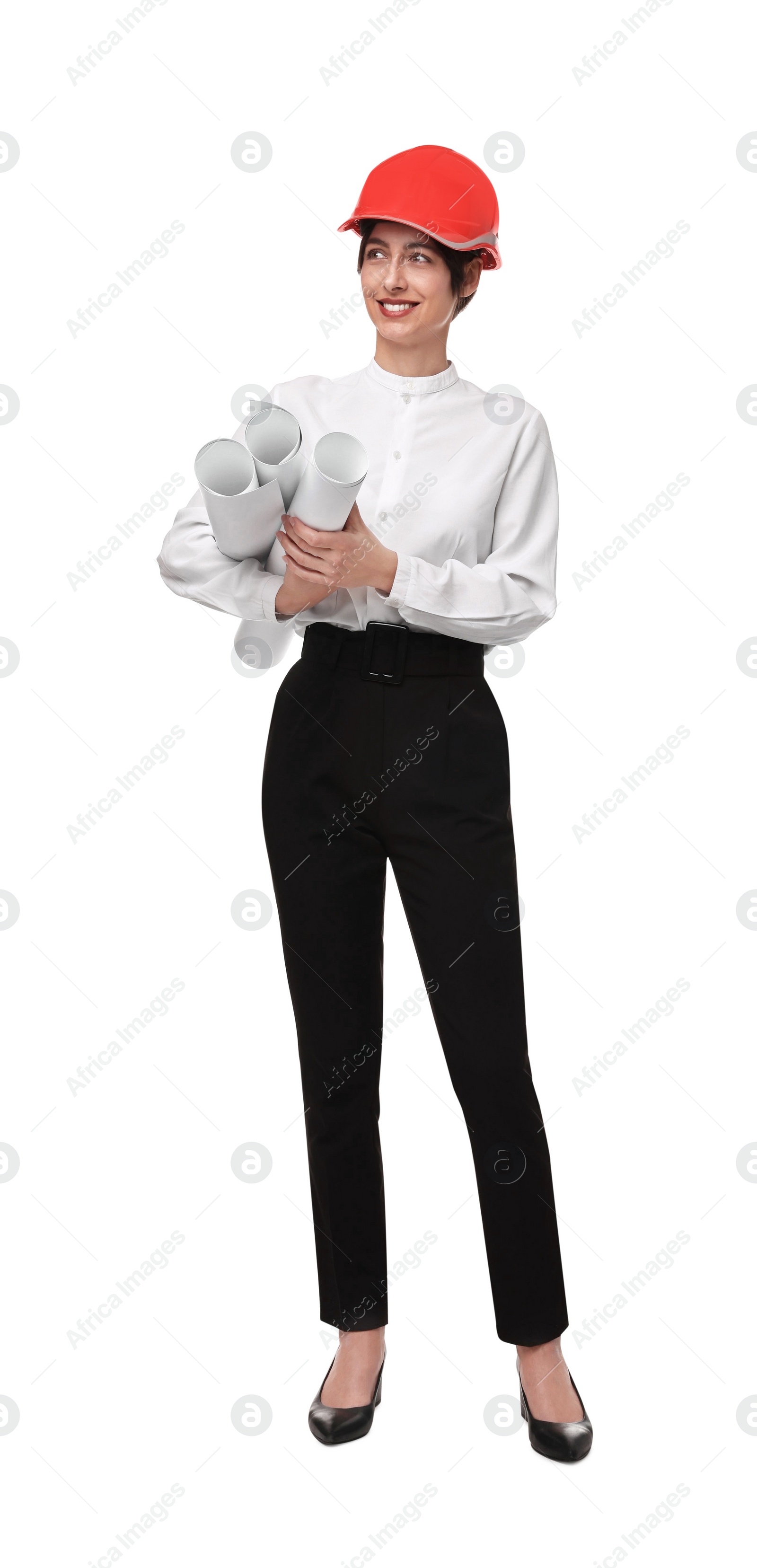 Photo of Architect with hard hat and drafts on white background