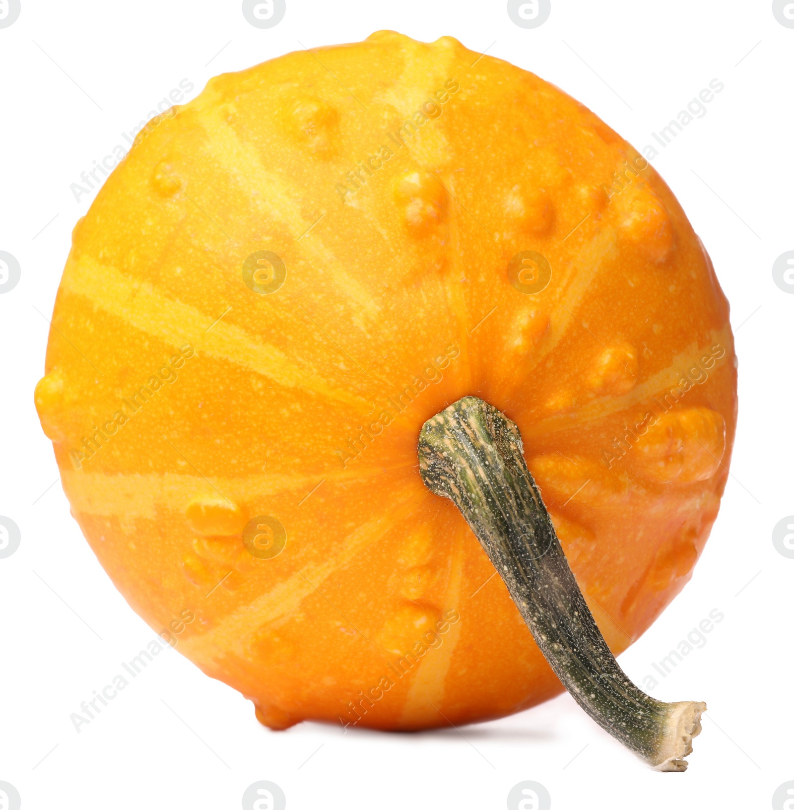 Photo of One fresh orange pumpkin isolated on white