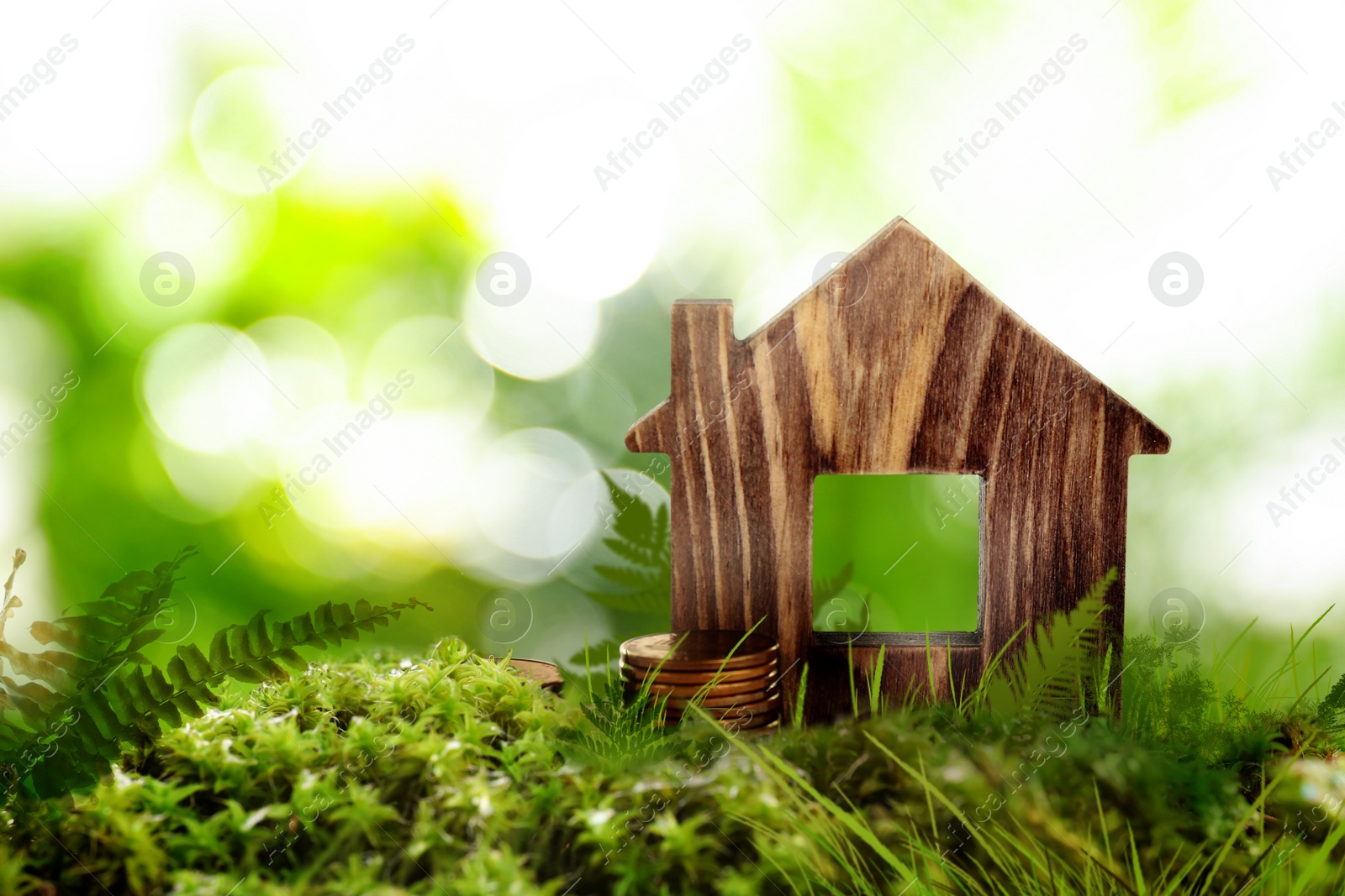 Image of Eco friendly home. House model and coins on green grass outdoors, space for text 