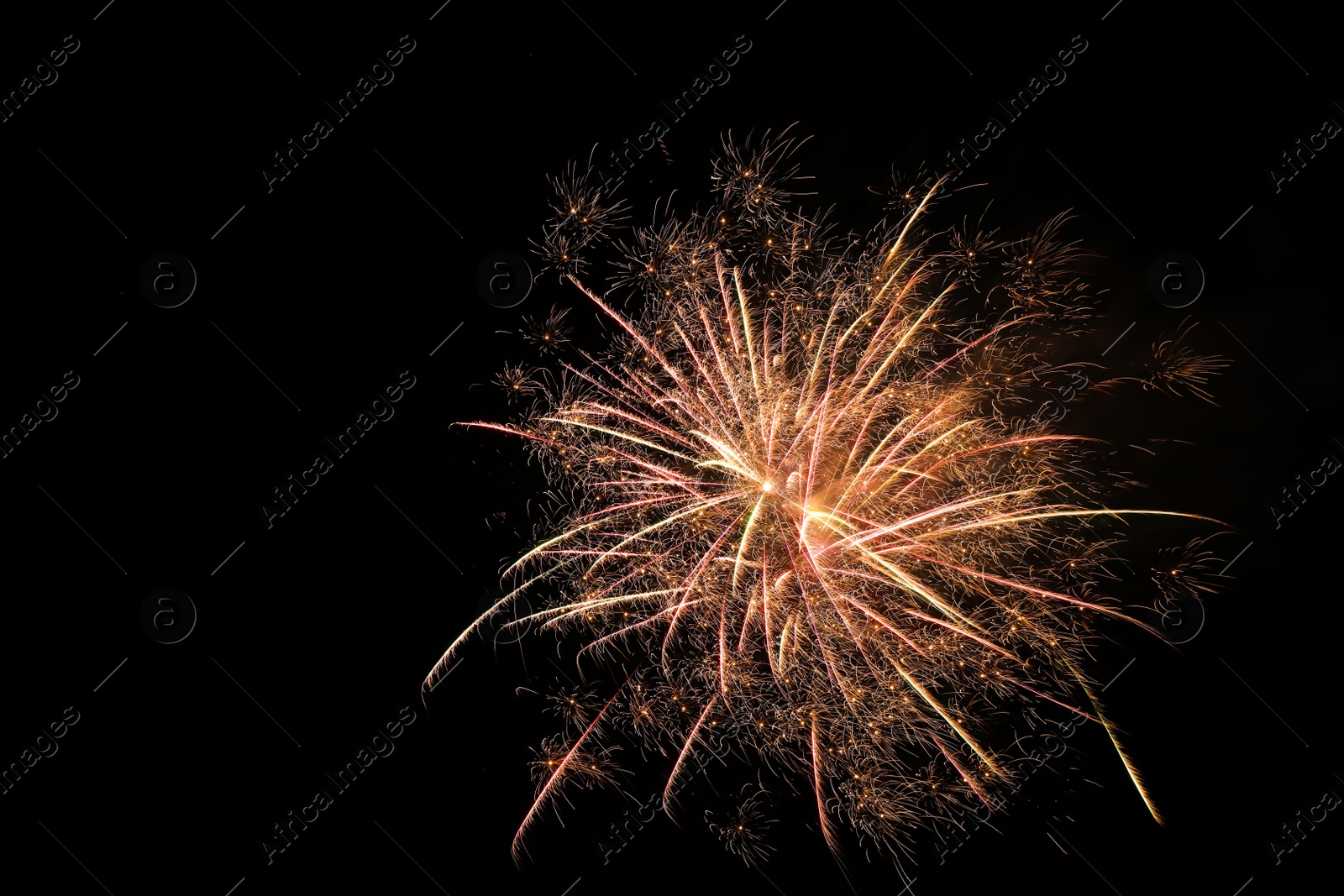 Photo of Beautiful bright firework lighting up night sky