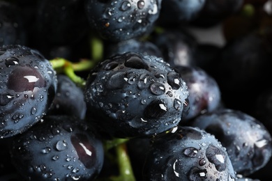 Bunch of fresh ripe juicy grapes as background, closeup