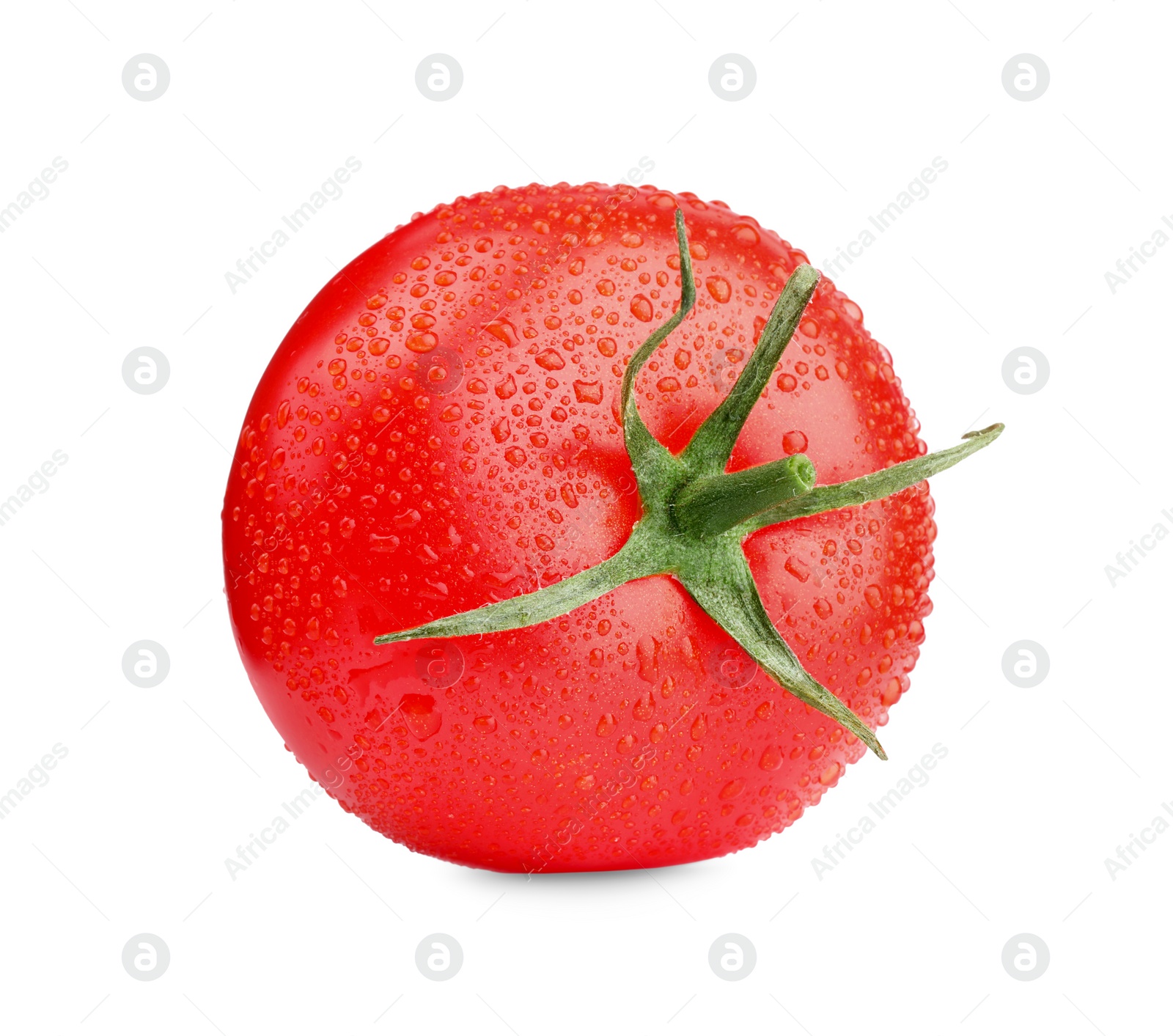 Photo of One red ripe tomato with water drops isolated on white