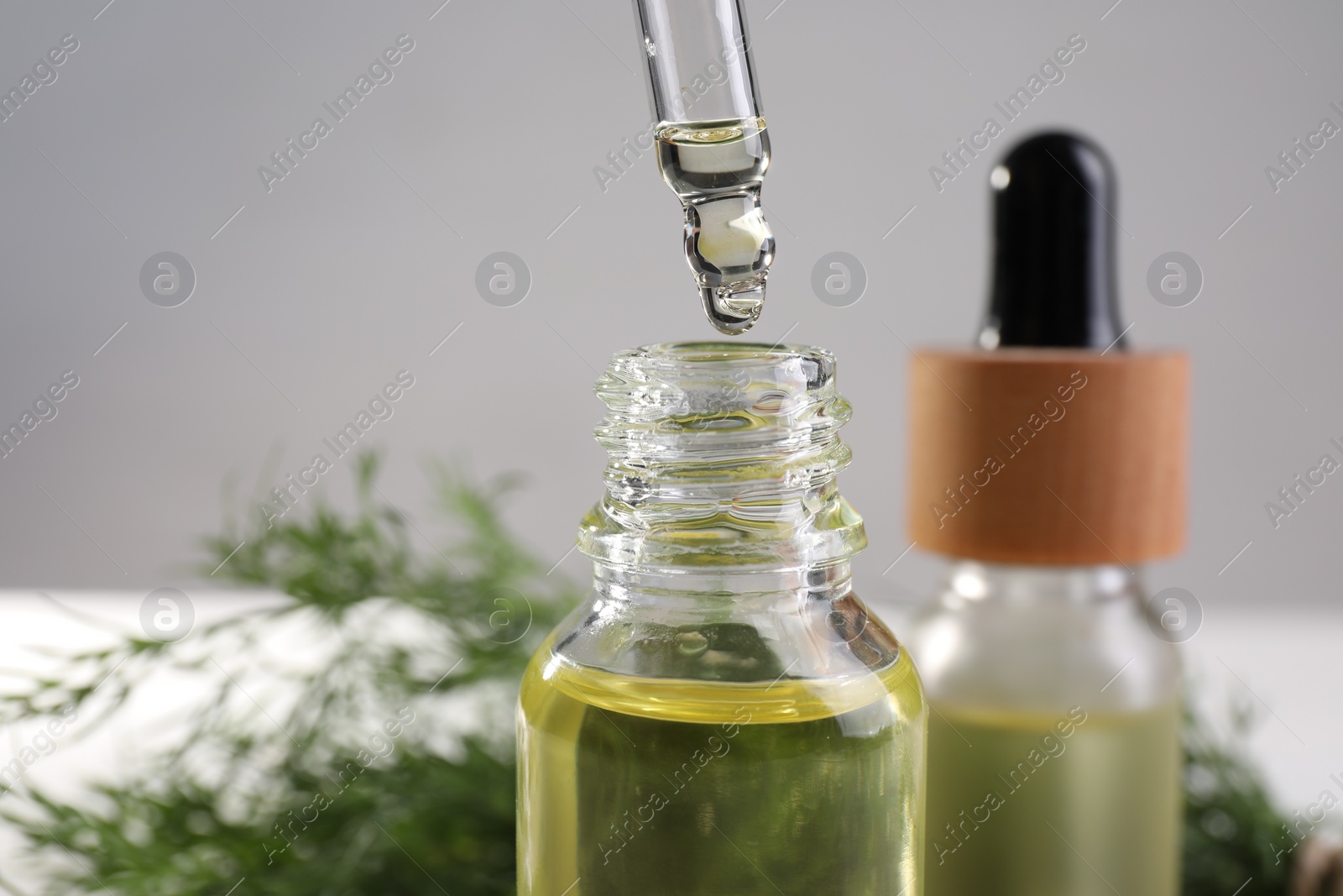 Photo of Dripping dill essential oil from pipette into bottle on light gray background, closeup