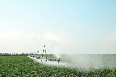 Photo of Field with irrigation system on sunny day