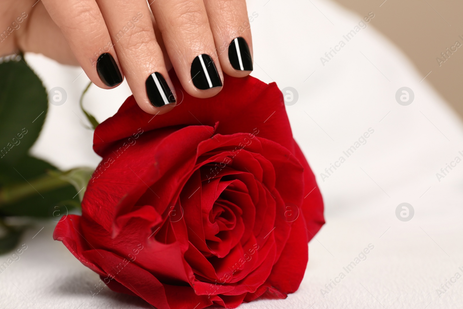 Photo of Woman with black manicure holding rose at table, closeup. Nail polish trends