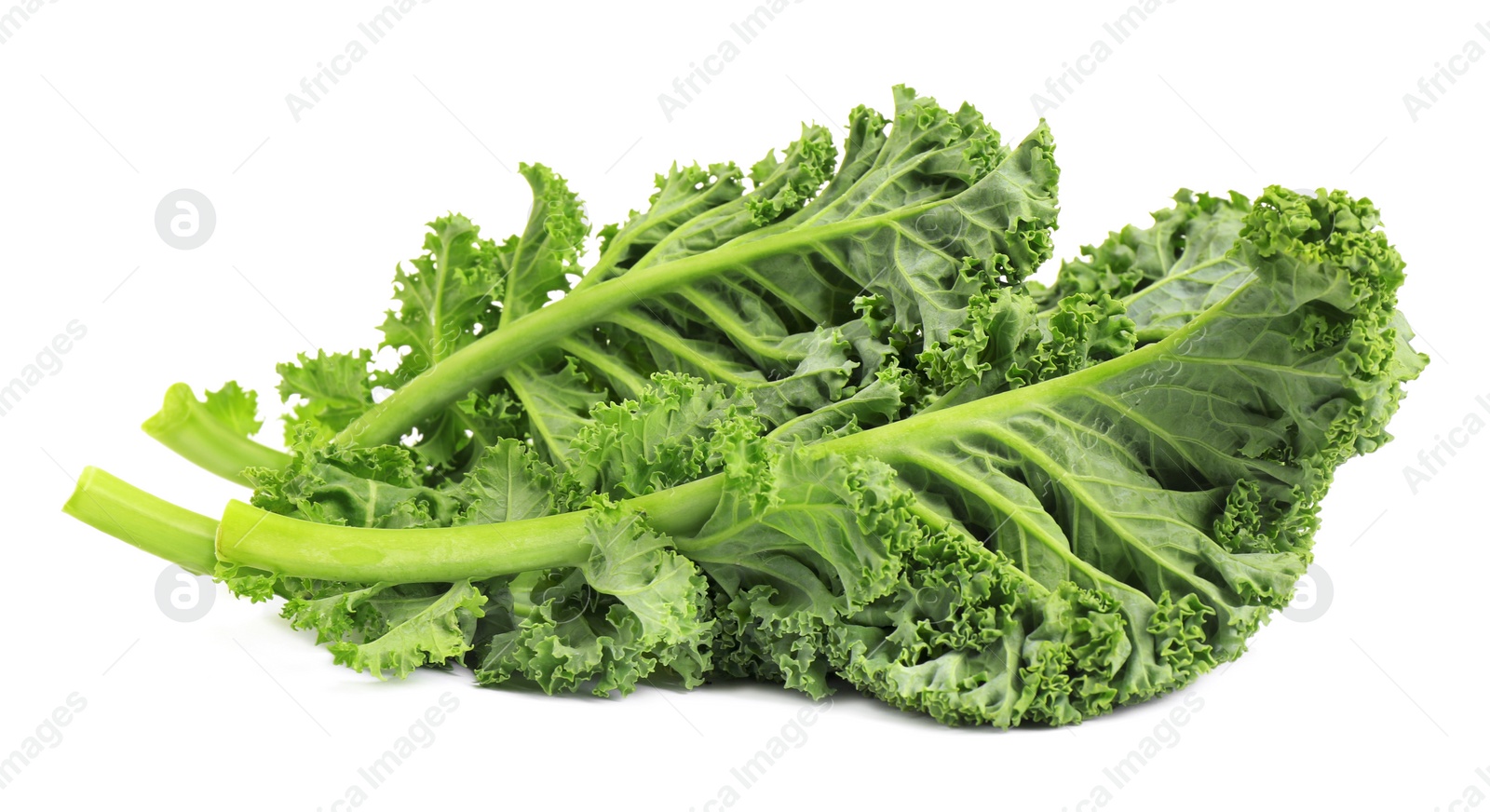 Photo of Fresh green kale leaves isolated on white