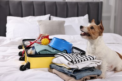 Travel with pet. Dog, clothes and suitcase on bed indoors