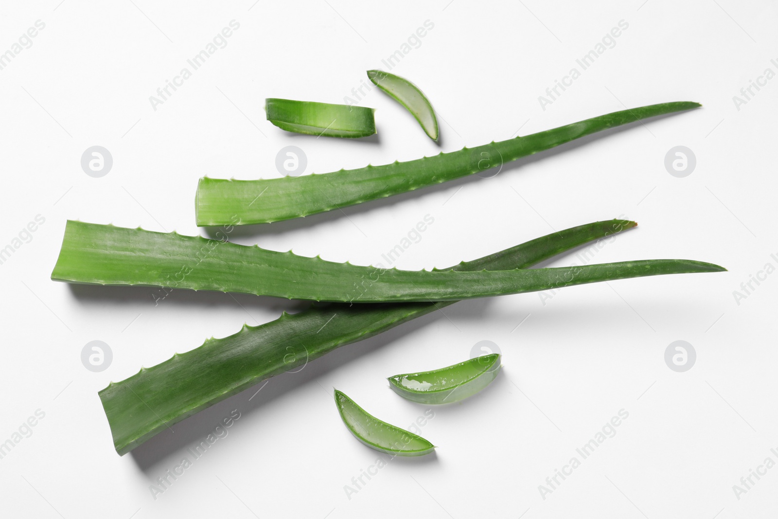 Photo of Cut aloe vera leaves on white background