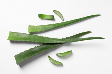 Cut aloe vera leaves on white background