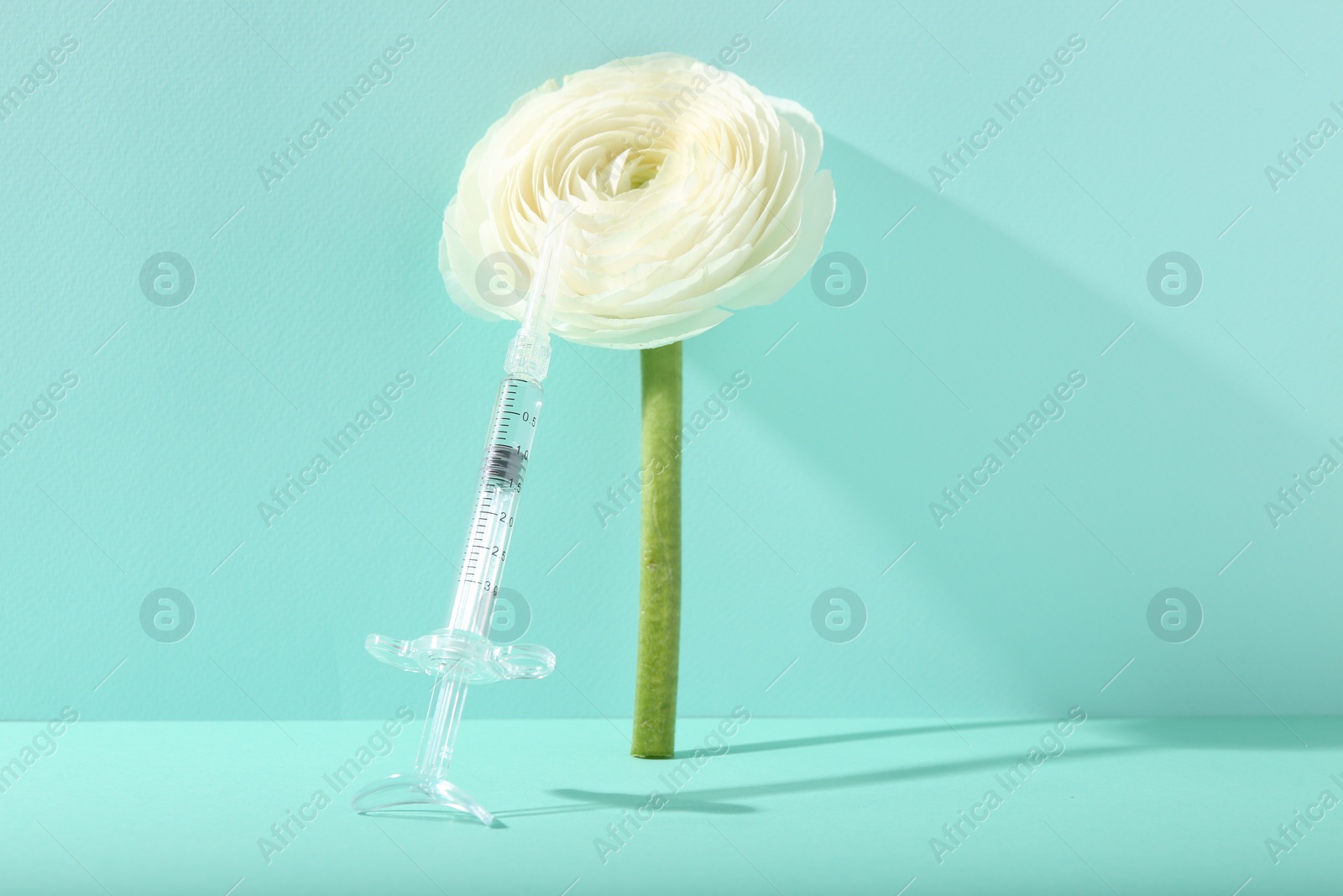 Photo of Cosmetology. Medical syringe and ranunculus flower on turquoise background