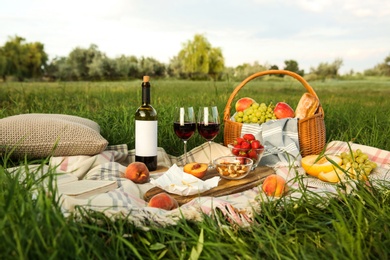 Picnic blanket with delicious food and wine on green grass