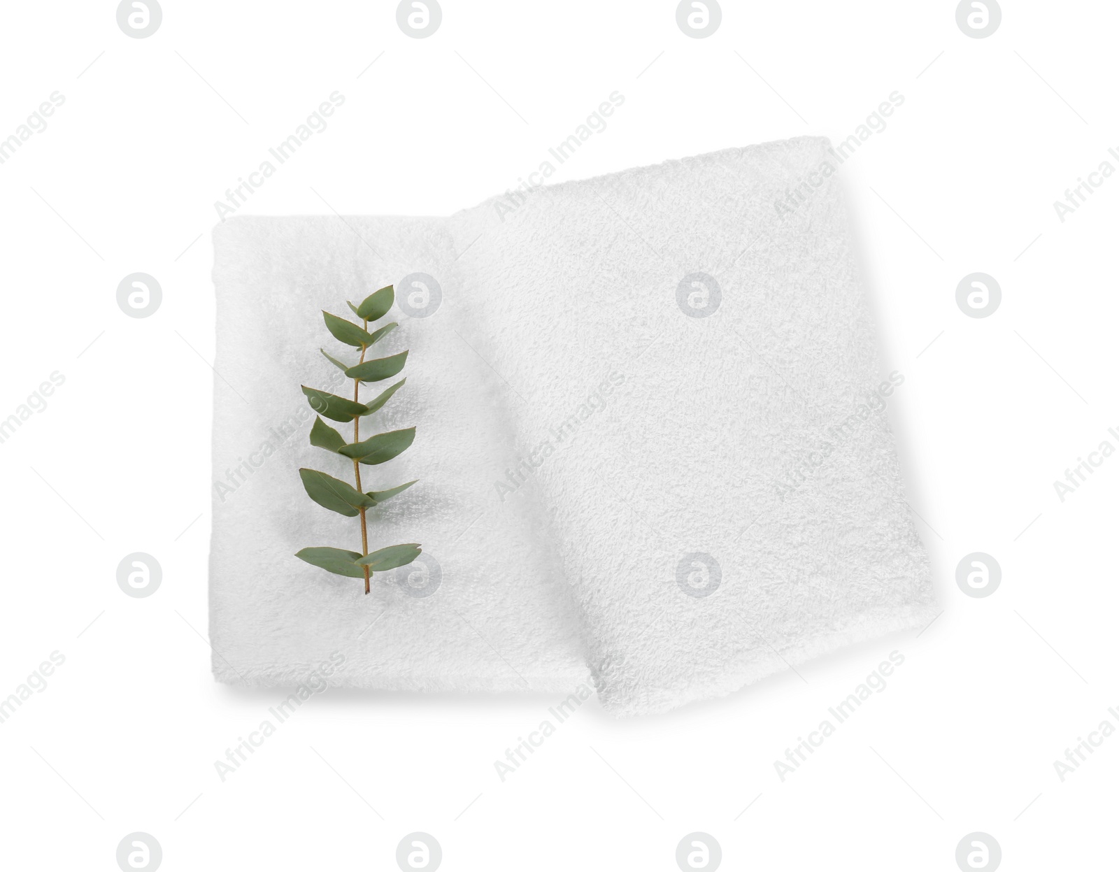 Photo of Terry towels and eucalyptus branch isolated on white, top view