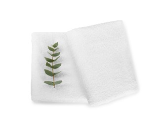 Terry towels and eucalyptus branch isolated on white, top view