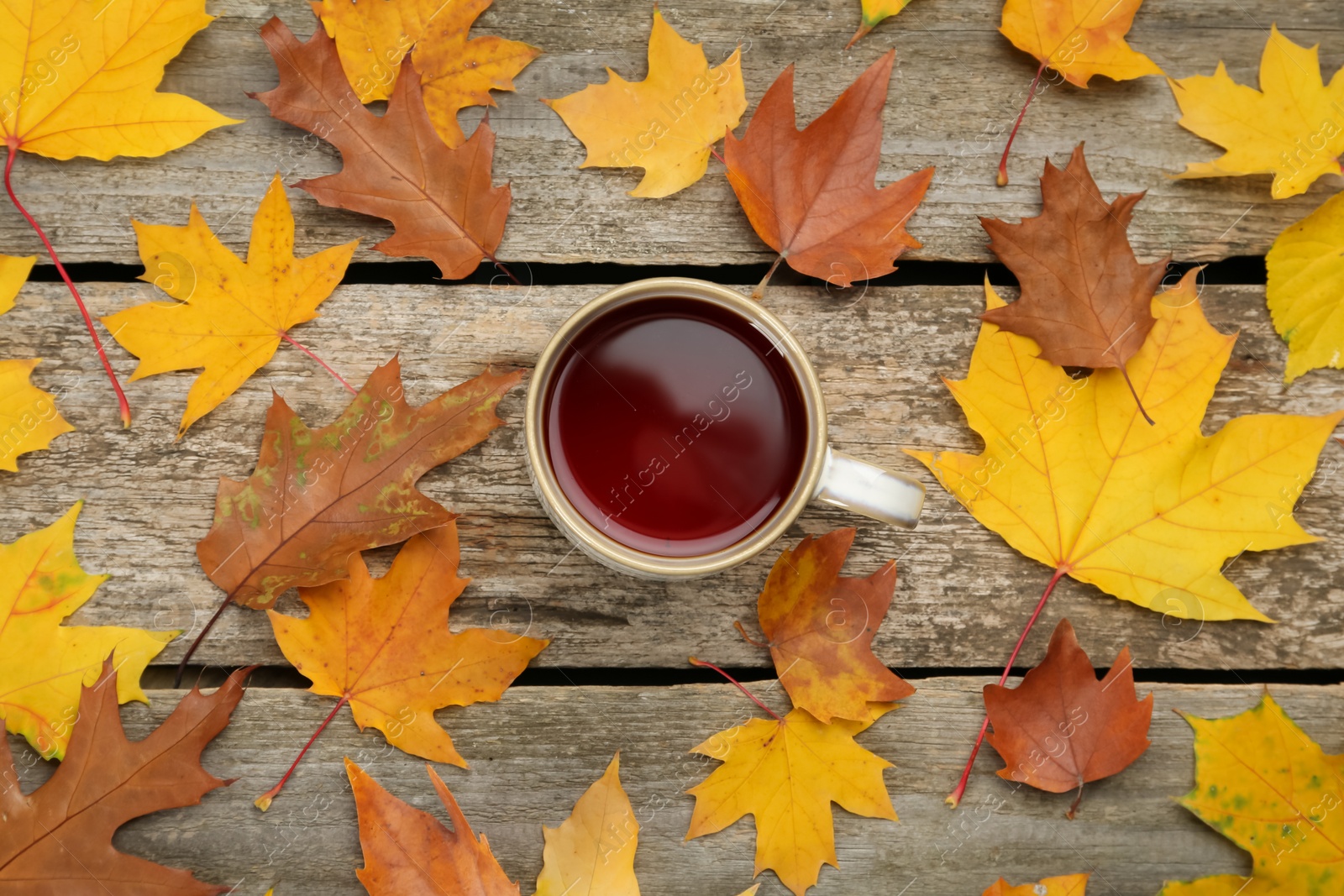 Photo of Cup of hot tea and autumn leaves on wooden table, flat lay