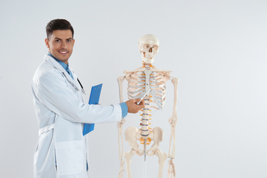 Male orthopedist with human skeleton model against light background