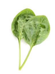 Fresh green healthy baby spinach leaves isolated on white, top view