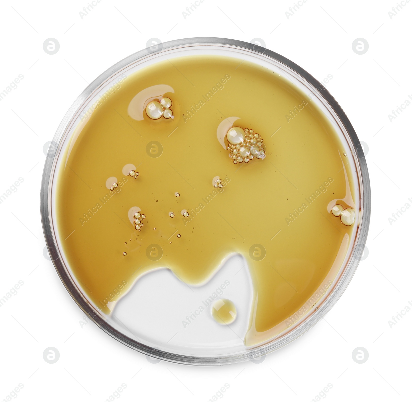 Photo of Petri dish with color liquid sample isolated on white, top view