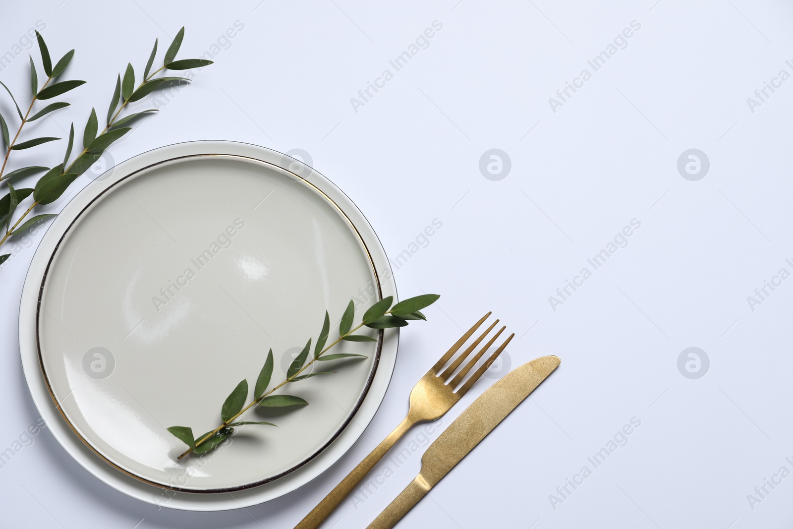 Photo of Stylish setting with cutlery and eucalyptus leaves on white background, top view. Space for text