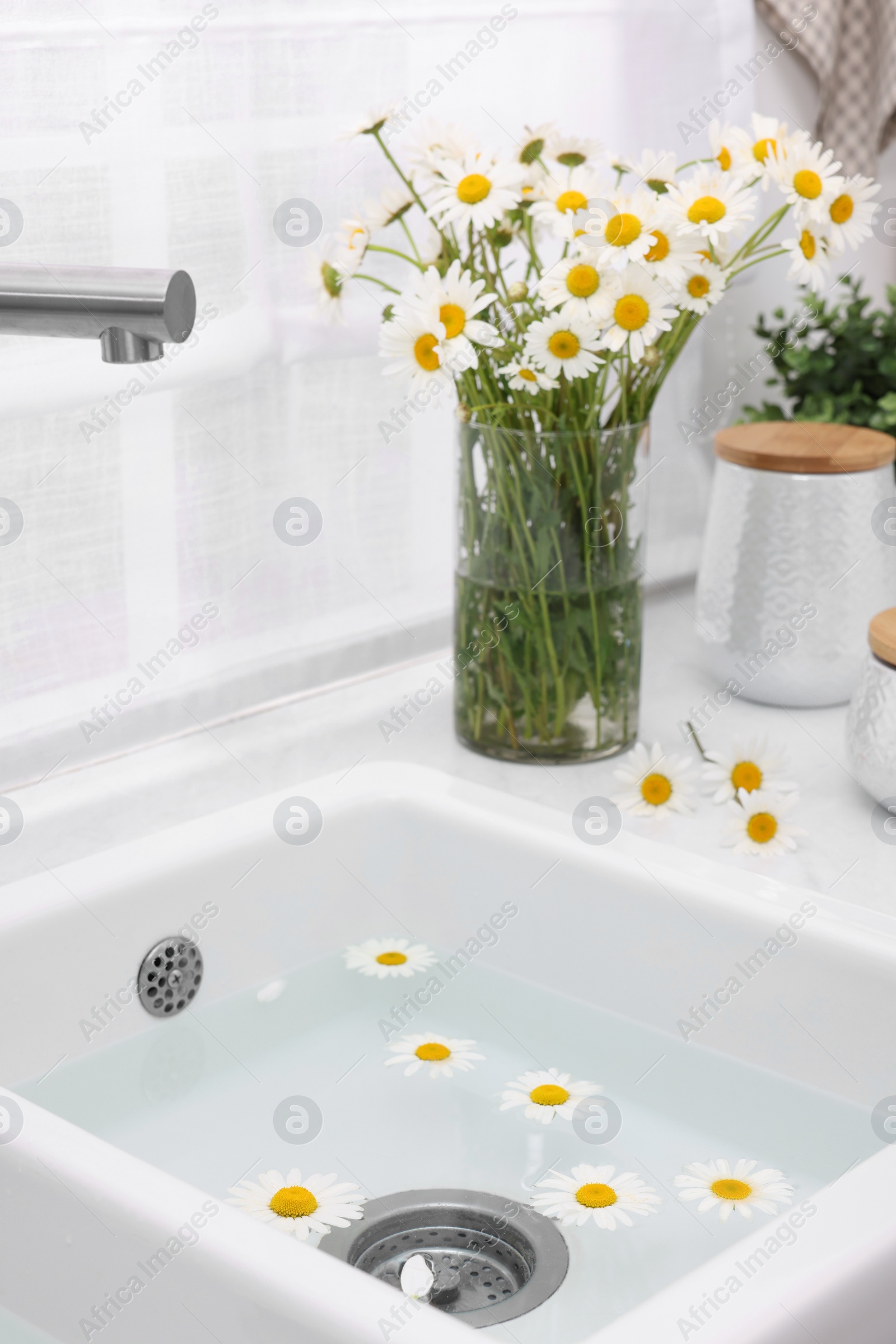 Photo of Sink with water and beautiful chamomiles indoors