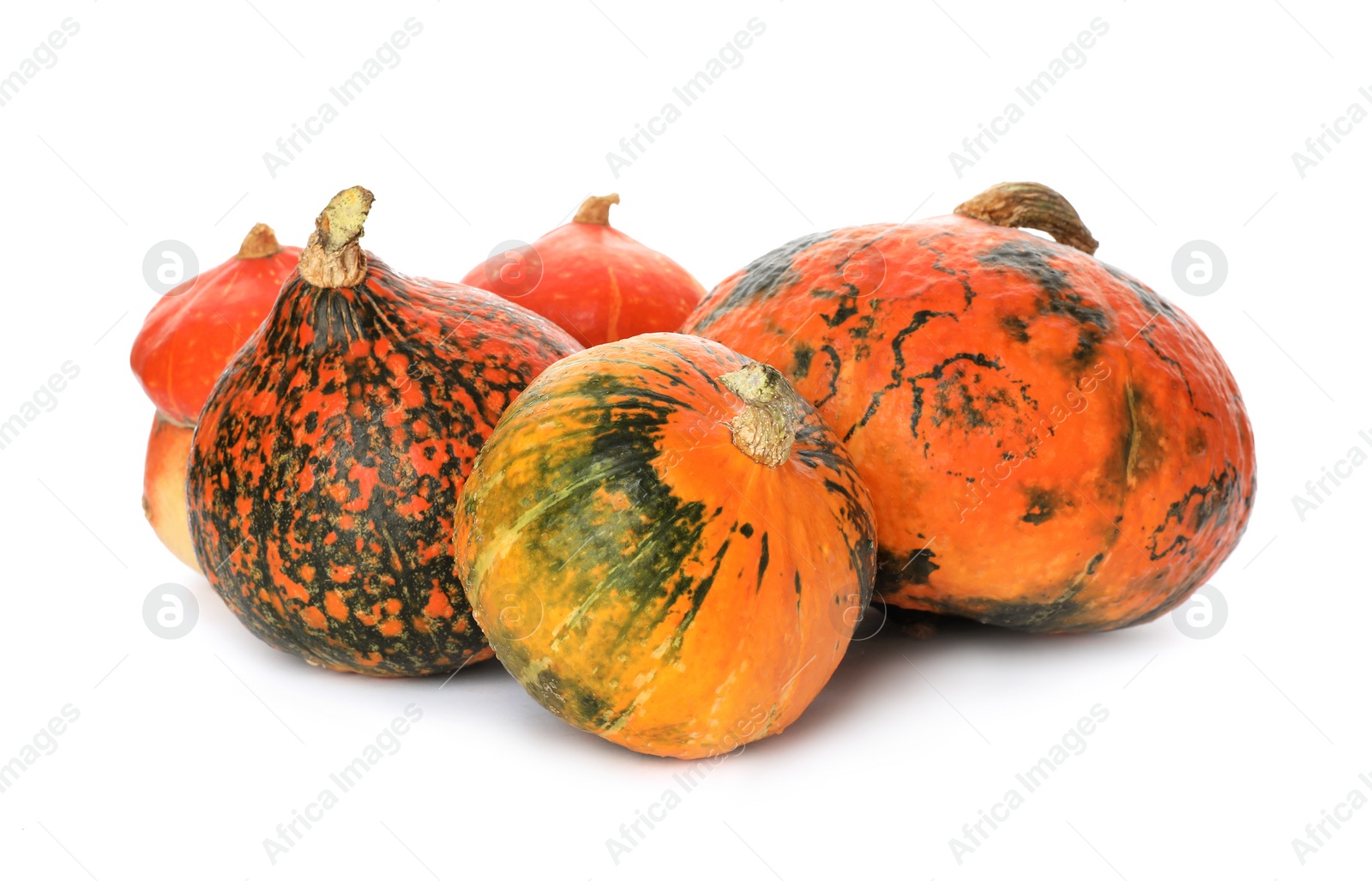 Photo of Fresh orange raw pumpkins isolated on white