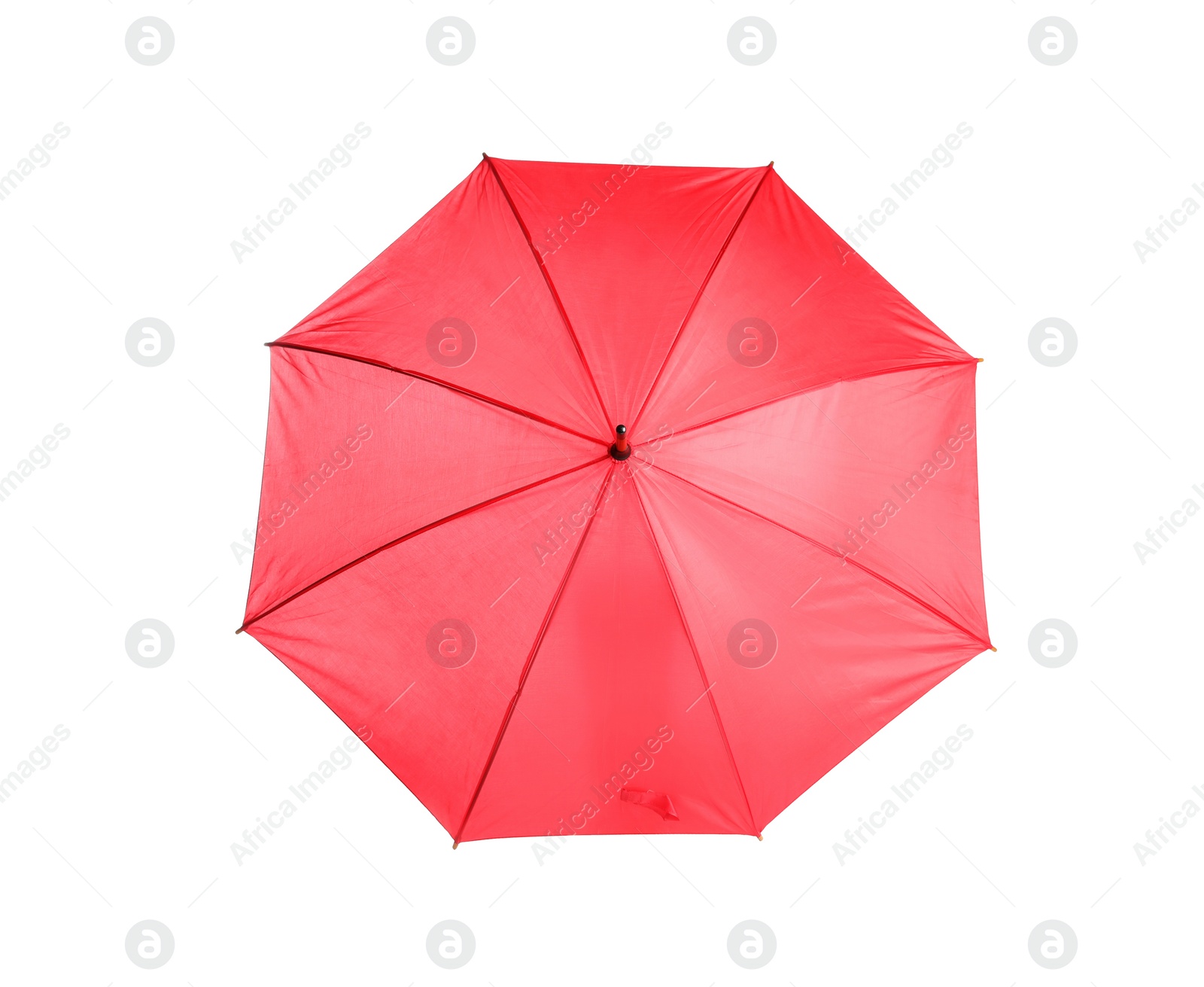 Photo of Beautiful open umbrella on white background